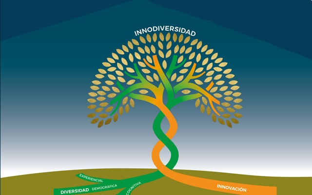 Companies have devoted more resources to diversity and innovation during the pandemic