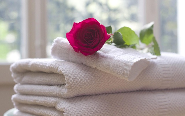 Hotel industry shows good muscle in first quarter