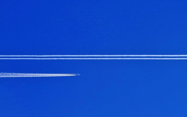 Major global companies have halved flights since the pandemic