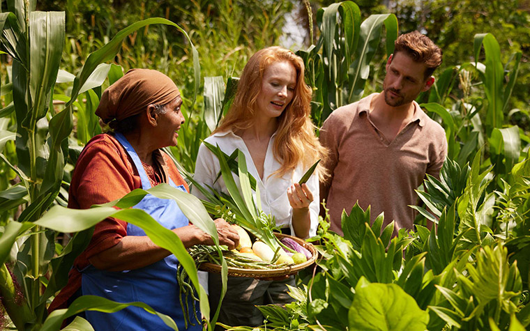 Quality vs. quantity: travel to come, according to Minor Hotels