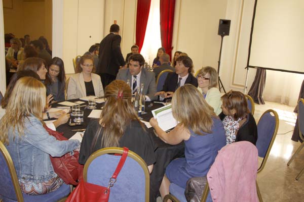 Sesión formativa_Junio 2013_MADRID_Hotel Tryp Ambassador