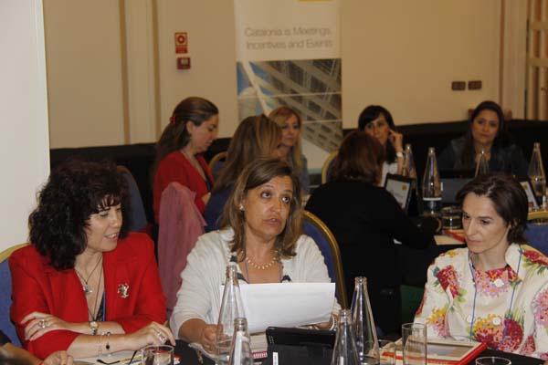 Sesión formativa_Junio 2013_MADRID_Hotel Tryp Ambassador