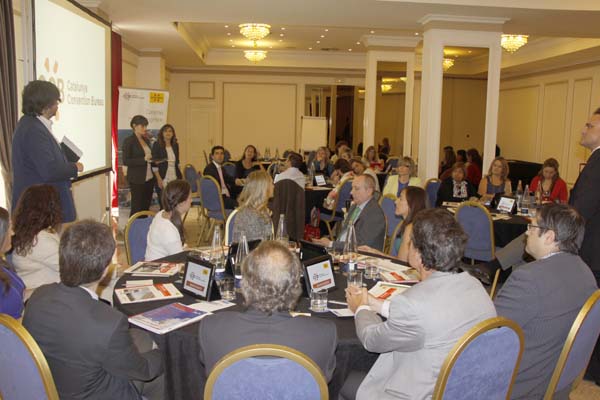 Sesión formativa_Junio 2013_MADRID_Hotel Tryp Ambassador